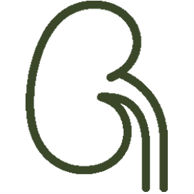 Urology